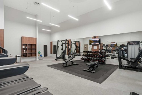 628-88 9 Street Ne, Calgary, AB - Indoor Photo Showing Gym Room