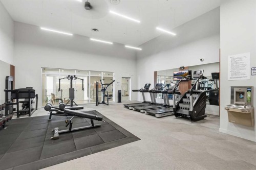 628-88 9 Street Ne, Calgary, AB - Indoor Photo Showing Gym Room