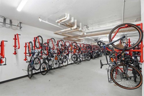 628-88 9 Street Ne, Calgary, AB - Indoor Photo Showing Garage