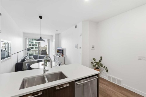 628-88 9 Street Ne, Calgary, AB - Indoor Photo Showing Kitchen With Double Sink