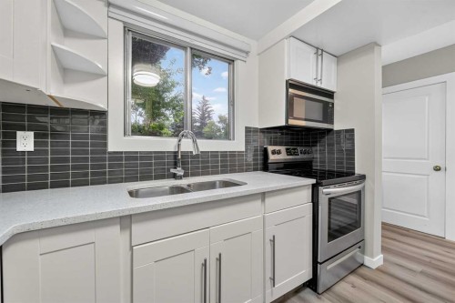 1608 3 Street Nw, Calgary, AB - Indoor Photo Showing Kitchen With Double Sink