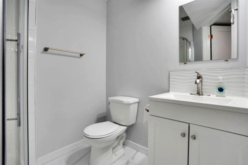 41 Millview Park Sw, Calgary, AB - Indoor Photo Showing Bathroom