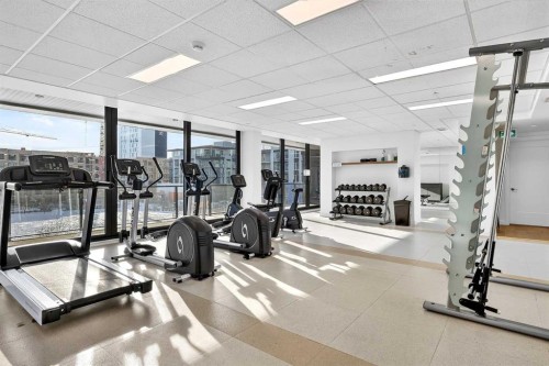302-275 Lebel Crescent Nw, Calgary, AB - Indoor Photo Showing Gym Room