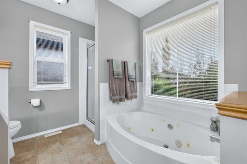 14 Evergreen Common Sw, Calgary, AB - Indoor Photo Showing Bathroom