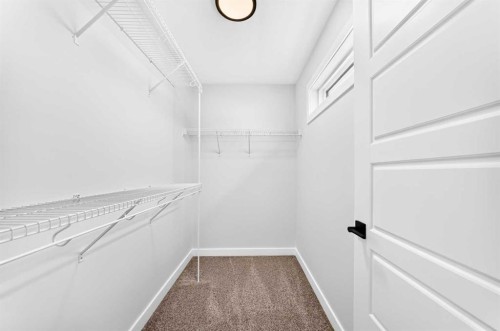 583 Buffaloberry Manor Se, Calgary, AB - Indoor With Storage