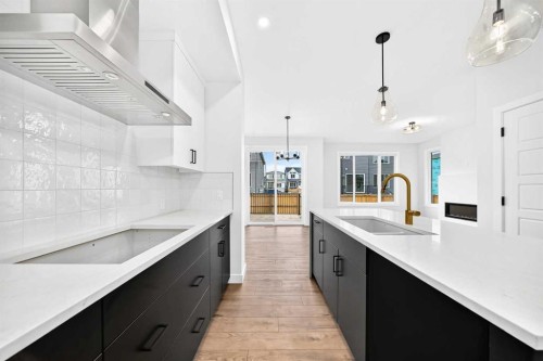 583 Buffaloberry Manor Se, Calgary, AB - Indoor Photo Showing Kitchen With Upgraded Kitchen