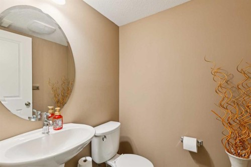 26 Skyview Ranch Gardens Ne, Calgary, AB - Indoor Photo Showing Bathroom