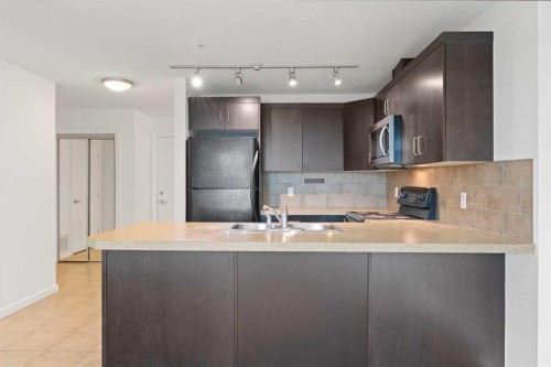 309-1410 1 Street Se, Calgary, AB - Indoor Photo Showing Kitchen With Double Sink