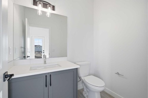 217 Bridgeport Gate, Chestermere, AB - Indoor Photo Showing Bathroom