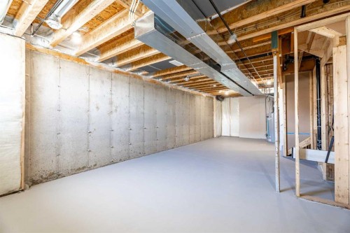 217 Bridgeport Gate, Chestermere, AB - Indoor Photo Showing Basement