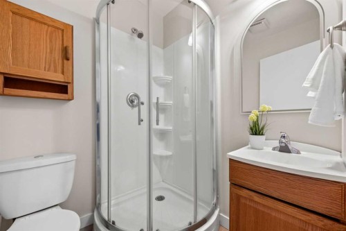 19 Macewan Meadow Crescent Nw, Calgary, AB - Indoor Photo Showing Bathroom