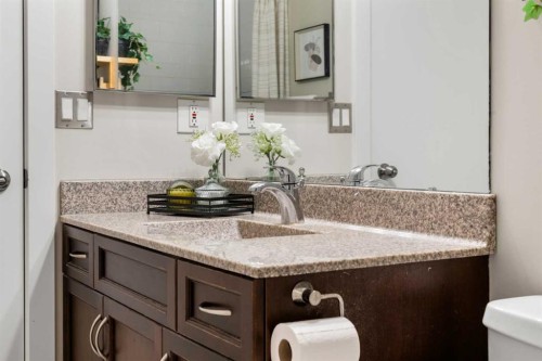 19 Macewan Meadow Crescent Nw, Calgary, AB - Indoor Photo Showing Bathroom