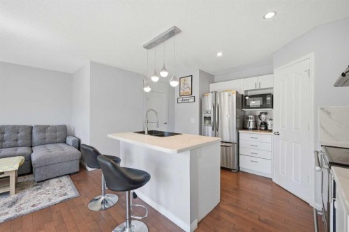 33 Saddlecrest Close Ne, Calgary, AB - Indoor Photo Showing Kitchen With Double Sink With Upgraded Kitchen