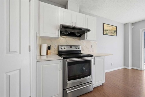 33 Saddlecrest Close Ne, Calgary, AB - Indoor Photo Showing Kitchen
