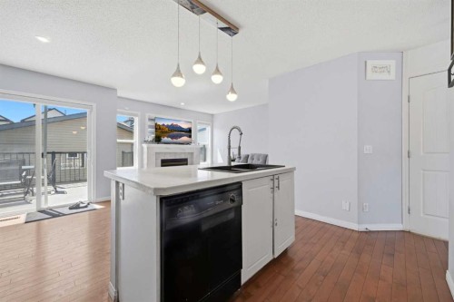 33 Saddlecrest Close Ne, Calgary, AB - Indoor Photo Showing Kitchen With Double Sink