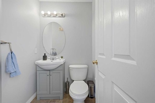 33 Saddlecrest Close Ne, Calgary, AB - Indoor Photo Showing Bathroom