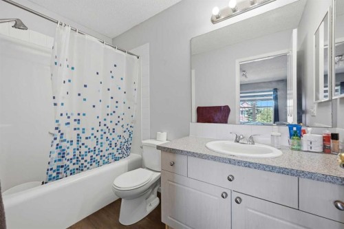 33 Saddlecrest Close Ne, Calgary, AB - Indoor Photo Showing Bathroom