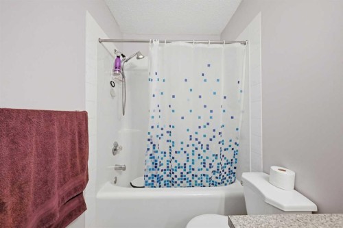 33 Saddlecrest Close Ne, Calgary, AB - Indoor Photo Showing Bathroom