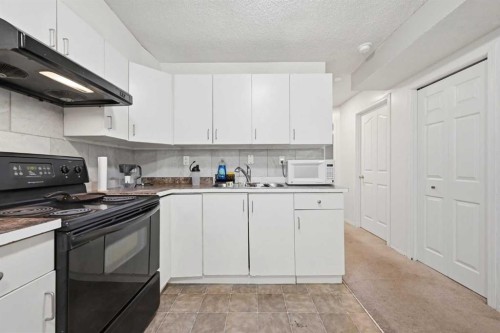 33 Saddlecrest Close Ne, Calgary, AB - Indoor Photo Showing Kitchen With Double Sink
