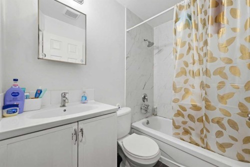 33 Saddlecrest Close Ne, Calgary, AB - Indoor Photo Showing Bathroom