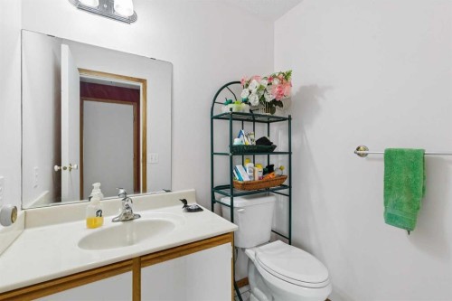 316 Queenston Heights Se, Calgary, AB - Indoor Photo Showing Bathroom