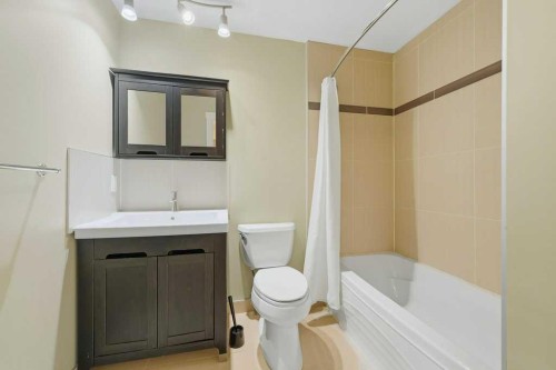 98 Elgin Meadows Circle Se, Calgary, AB - Indoor Photo Showing Bathroom