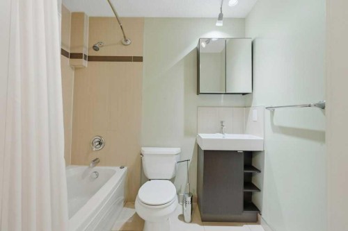 98 Elgin Meadows Circle Se, Calgary, AB - Indoor Photo Showing Bathroom