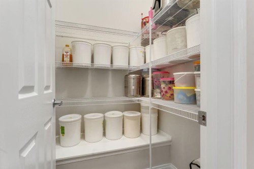 121 Osborne Common Sw, Airdrie, AB - Indoor With Storage