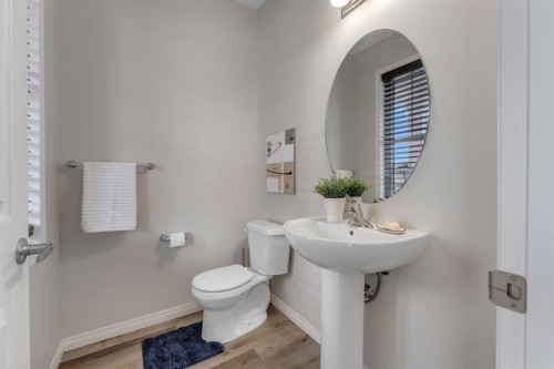 121 Osborne Common Sw, Airdrie, AB - Indoor Photo Showing Bathroom