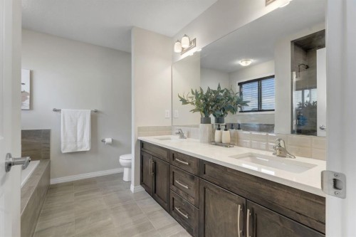 121 Osborne Common Sw, Airdrie, AB - Indoor Photo Showing Bathroom
