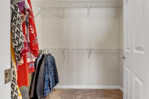 121 Osborne Common Sw, Airdrie, AB - Indoor With Storage