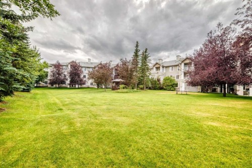3337-6818 Pinecliff Grove Ne, Calgary, AB 