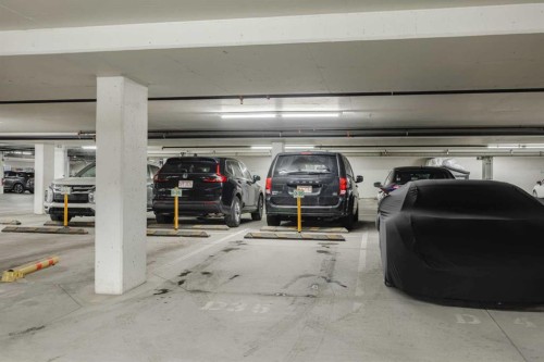 4309-215 Legacy Boulevard Se, Calgary, AB - Indoor Photo Showing Garage