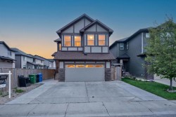 93 Skyview Shores Terrace NE Calgary, AB T3N 0E8