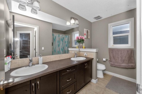 93 Skyview Shores Terrace Ne, Calgary, AB - Indoor Photo Showing Bathroom