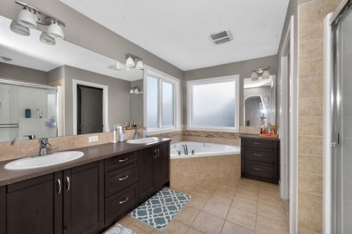 93 Skyview Shores Terrace Ne, Calgary, AB - Indoor Photo Showing Bathroom
