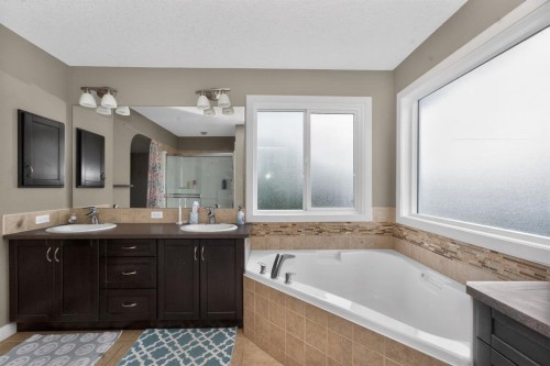 93 Skyview Shores Terrace Ne, Calgary, AB - Indoor Photo Showing Bathroom