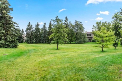 3909 Point Mckay Road Nw, Calgary, AB - Outdoor