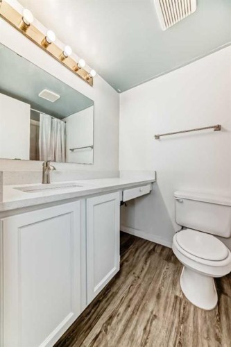 32-1703 11 Avenue Sw, Calgary, AB - Indoor Photo Showing Bathroom
