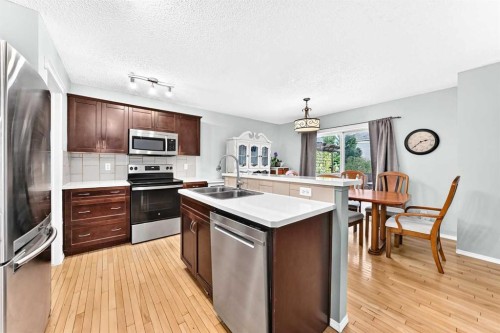 960 Copperfield Boulevard Se, Calgary, AB - Indoor Photo Showing Kitchen With Stainless Steel Kitchen With Double Sink