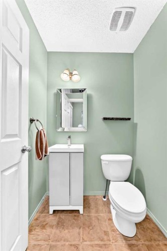 960 Copperfield Boulevard Se, Calgary, AB - Indoor Photo Showing Bathroom