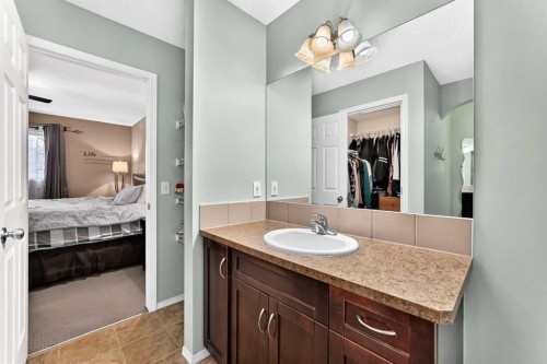 960 Copperfield Boulevard Se, Calgary, AB - Indoor Photo Showing Bathroom
