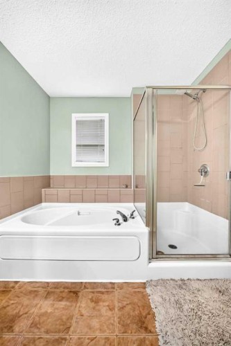 960 Copperfield Boulevard Se, Calgary, AB - Indoor Photo Showing Bathroom