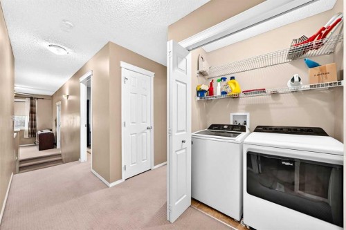 960 Copperfield Boulevard Se, Calgary, AB - Indoor Photo Showing Laundry Room