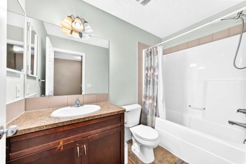 960 Copperfield Boulevard Se, Calgary, AB - Indoor Photo Showing Bathroom