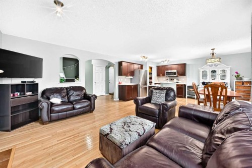 960 Copperfield Boulevard Se, Calgary, AB - Indoor Photo Showing Living Room