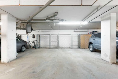 103-1606 4 Street Nw, Calgary, AB - Indoor Photo Showing Garage