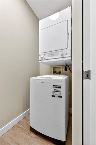 2102-333 Taravista Drive Ne, Calgary, AB - Indoor Photo Showing Laundry Room