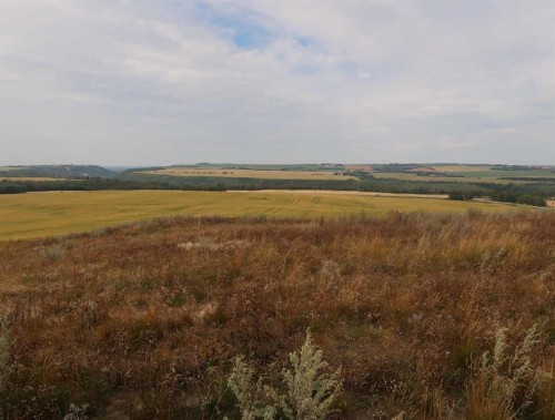 38250 Range Road 263, Rural Red Deer County, AB 