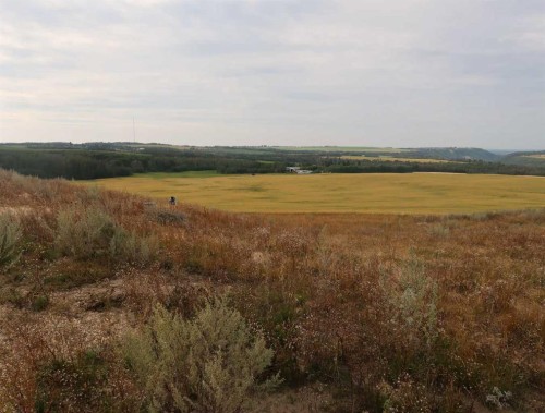 38250 Range Road 263, Rural Red Deer County, AB 